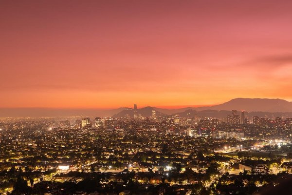 Comment se positionner sur le marché de l'emploi en tant que conseiller en nutrition végétalienne pour sportifs de haut niveau ?